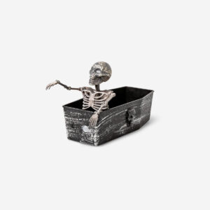 Haunted coffin - Image 1