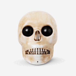 Haunted skull
