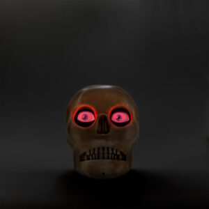Haunted skull - Image 3