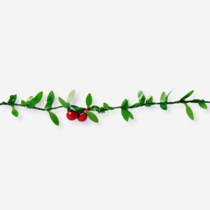 Holly - Image 2