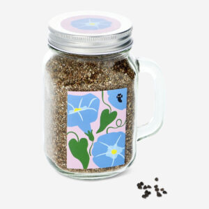 Jar grow kit. Morning glory - Image 3