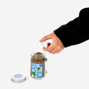 Jar grow kit. Morning glory - Image 2