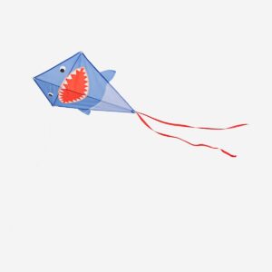 Kite