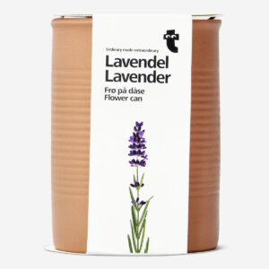 Lavender. Flower can - Image 1