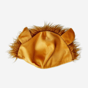 Lion hat for dress up - Image 3