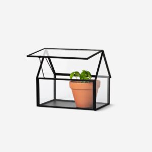 Mini greenhouse - Image 3