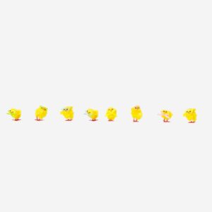 Mini Yellow Easter chicks - 8 pcs - Image 2