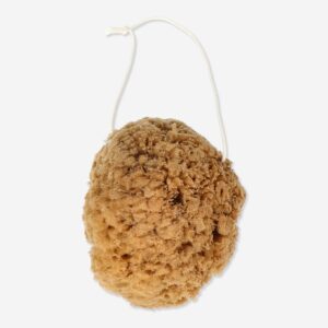 Natural sea sponge - Image 1