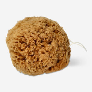 Natural sea sponge - Image 2