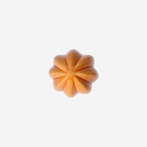 Orange decorative cactus - 10 cm - Image 3