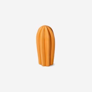 Orange decorative cactus - 10 cm - Image 1