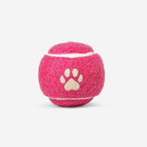 Pet ball in gift box