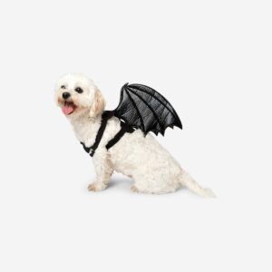 Pet costume - Bat wings - Image 1