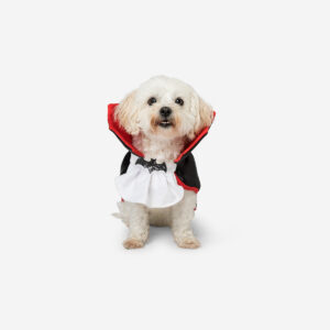 Pet costume - Dracula - Image 1