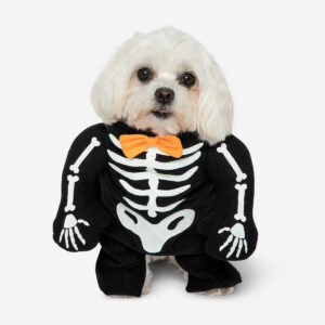 Pet costume - Glow in the dark skeleton - Image 1
