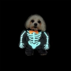 Pet costume - Glow in the dark skeleton - Image 3