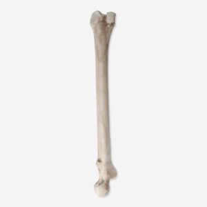 Pinata stick - Image 3