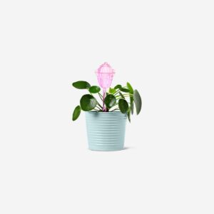 Pink cactus watering spike - Image 1