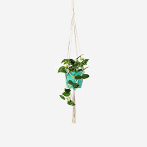 Plant hanger - Image 1