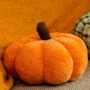 Pumpkin cushion - Image 1