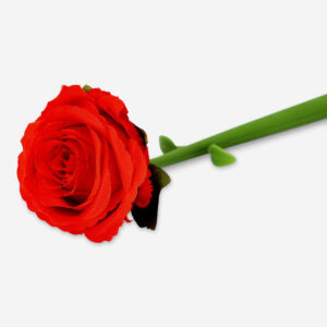 Rose shaped ballpoint pen - Image 2