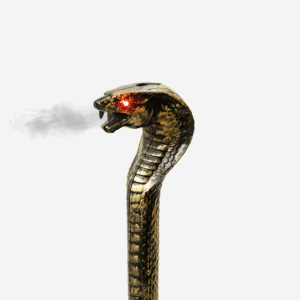 Steaming sceptre with light