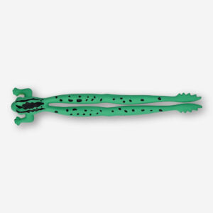 Shooting frog - Image 1