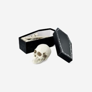 Skeleton bone set - Image 1