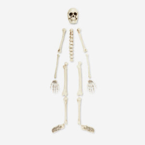 Skeleton bone set - Image 2
