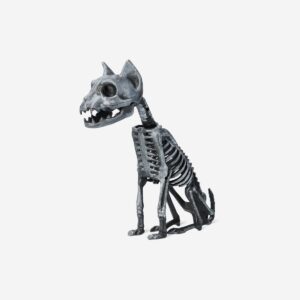 Skeleton cat - Image 1