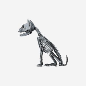 Skeleton cat - Image 2
