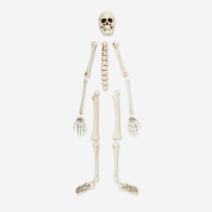 Skeleton set - Image 1