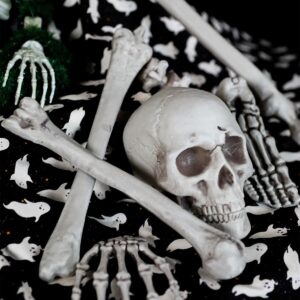 Skeleton set - Image 2