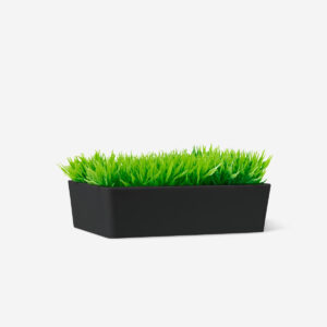 Soap dish - Image 1