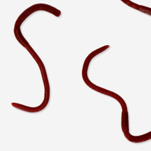 Sticky worms in a box - 4 pcs - Image 3