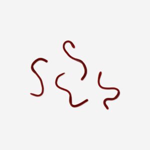 Sticky worms in a box - 4 pcs - Image 2