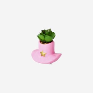 Succulent cowboy hat plant pot - Image 1