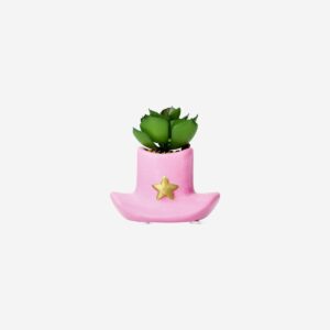 Succulent cowboy hat plant pot - Image 2