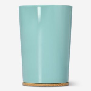 Toothbrush holder