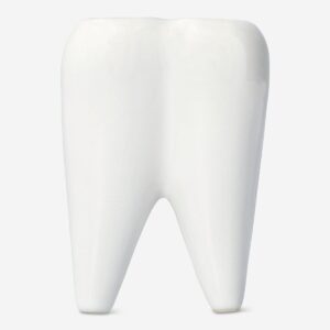 Tooth-Shaped Toothbrush Holder - Image 3