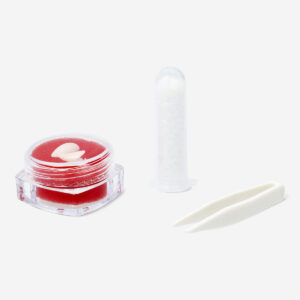 Press on vampire fangs - For adults - Image 2